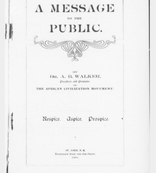 an image of the cover page of Walker, A. (1905). A message to the public 